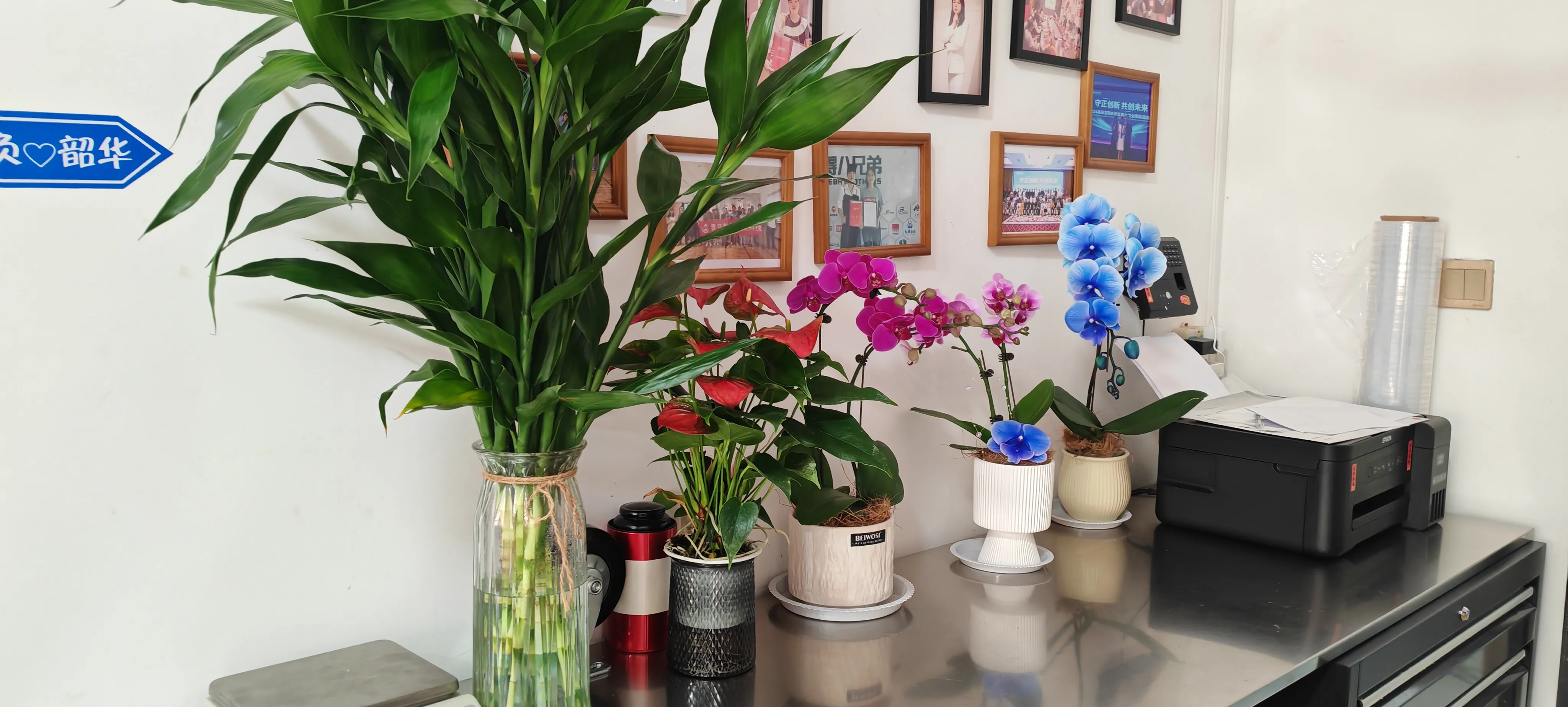 مرحبًا بأصدقاء JOJO Pack الجدد!