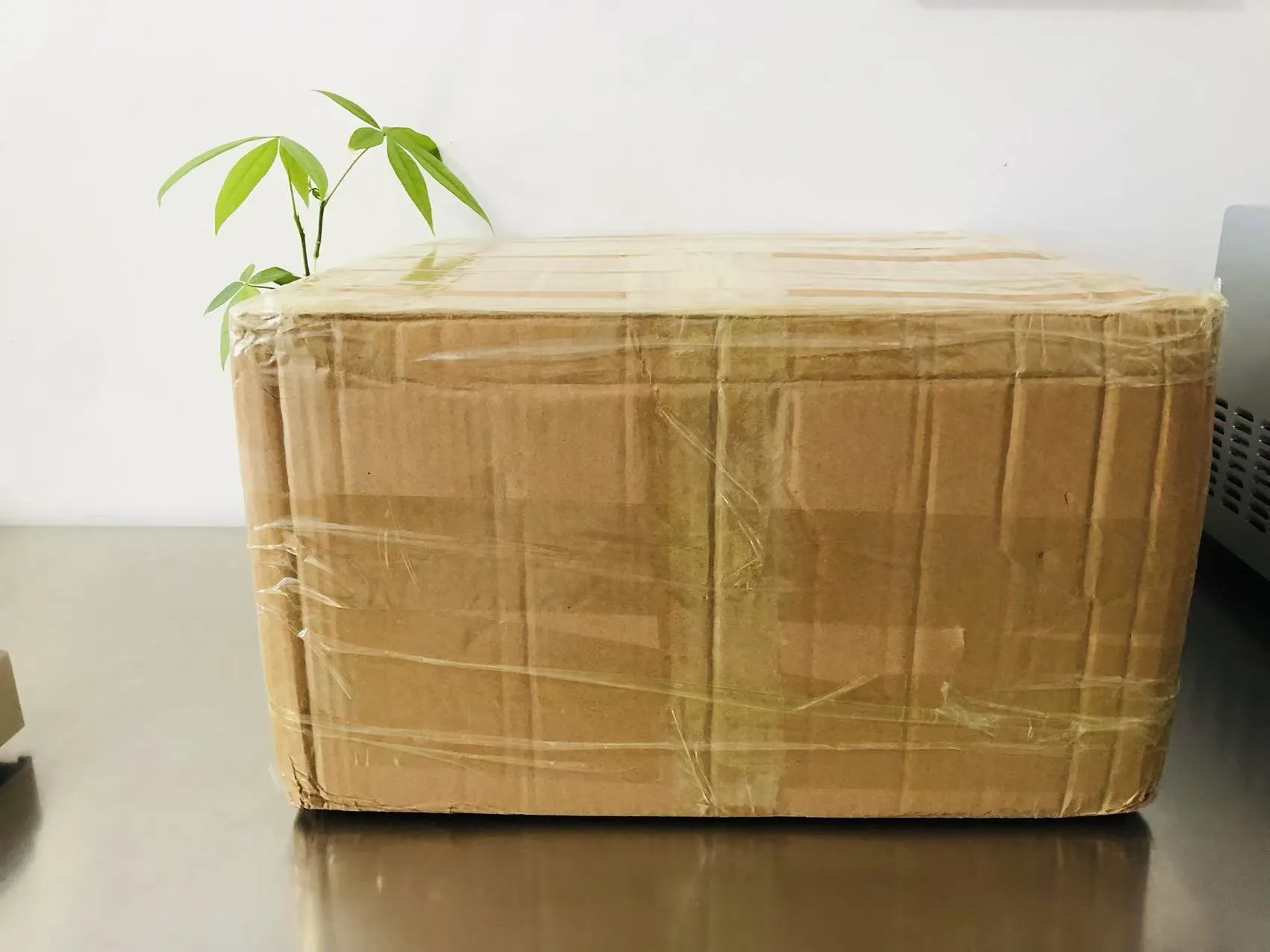 ملصقات الكرتون الإيبوكسي الصلبة الآن في الطريق إلى اليابان